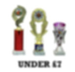 budget cover_edited.jpg